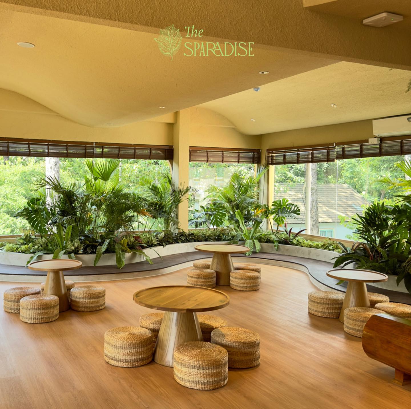Hình ảnh bên trong spa